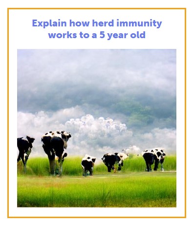 Explain how herd immunity works to a 5 year old