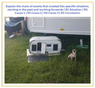 FS Causal argument chihuahua caravan
