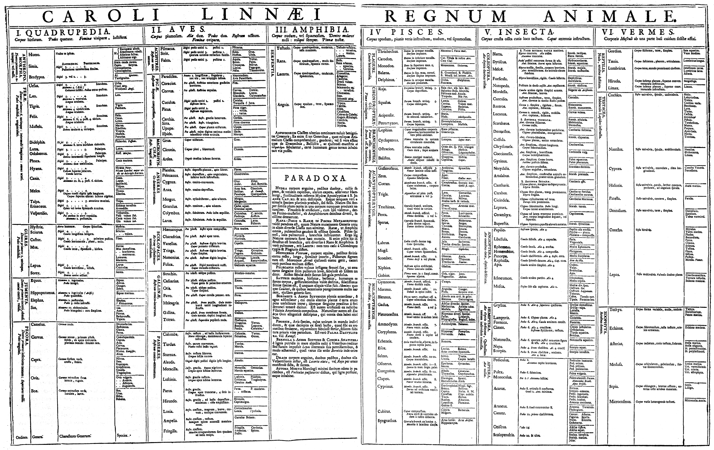 Gigantic taxonomy of living organisms by Carl Linnaeus