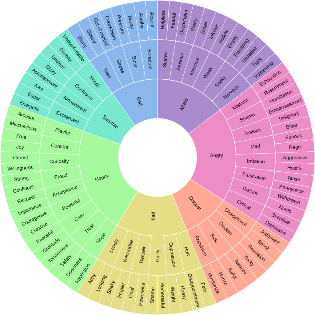 Emotion wheel showing a range of labels such as joy, sadness and disgust