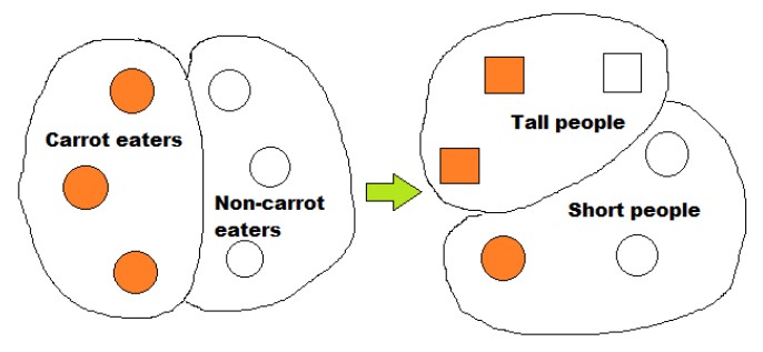 There are three carrot eaters and three non-carrot eaters. Two of the carrot eaters become tall people, compared to one of the non-carrot eaters.