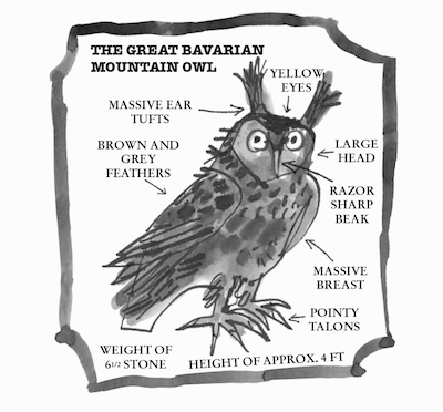 A picture of Wagner the Great Bavarian Mountain Owl from David Walliams' Awful Auntie