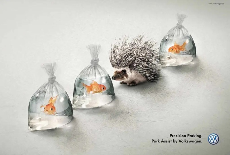 Print ad Volkswagon porcupine goldfish