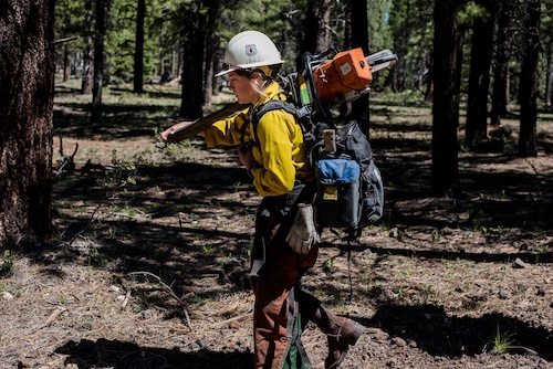 Portrait of female firefighter carrying chainsaw in forest from National Geographic
