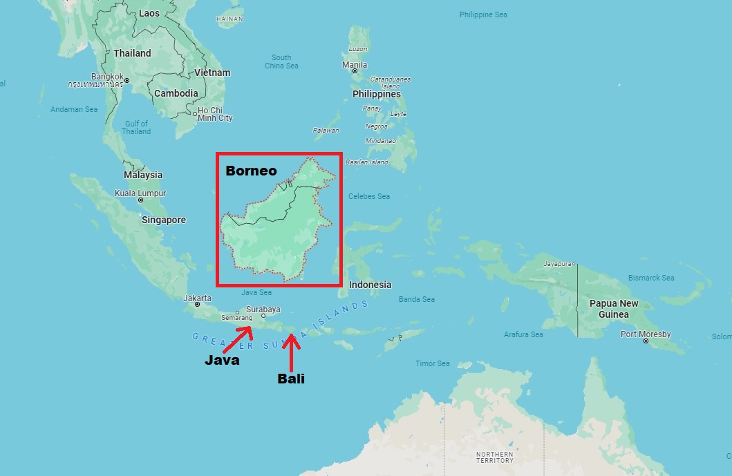 The island of Borneo is a large central island in the Indonesian archipelago. Bali and Java are part of the southern chain of the archipelago. The capital of Indonesia, Jakarta, is on Java.