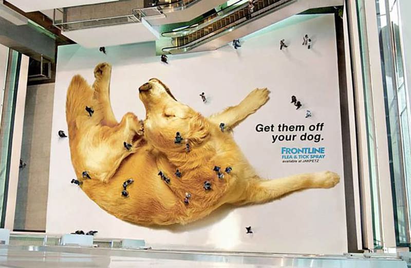 Print ad Frontline dog fleas